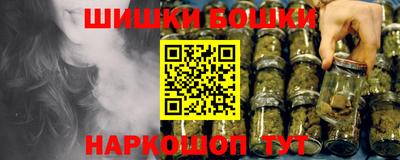 индика Гусь-Хрустальный