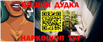 индика Гусь-Хрустальный