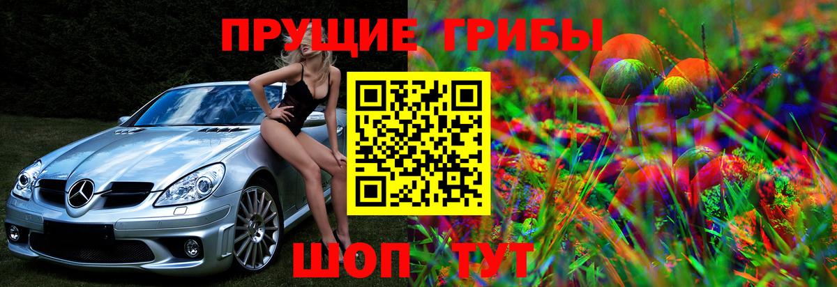 Псилоцибиновые грибы Psilocybine cubensis  Вход с VPN  Ейск  Псилоцибиновые грибы прущие грибы 